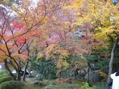覚園寺(神奈川県)