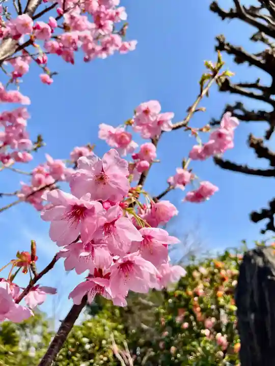 福王山 慈眼寺の自然