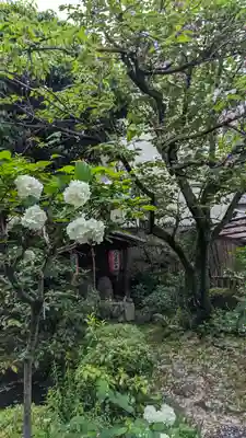 宝蔵寺(京都府)