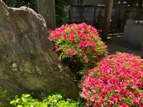 長遠寺(東京都)