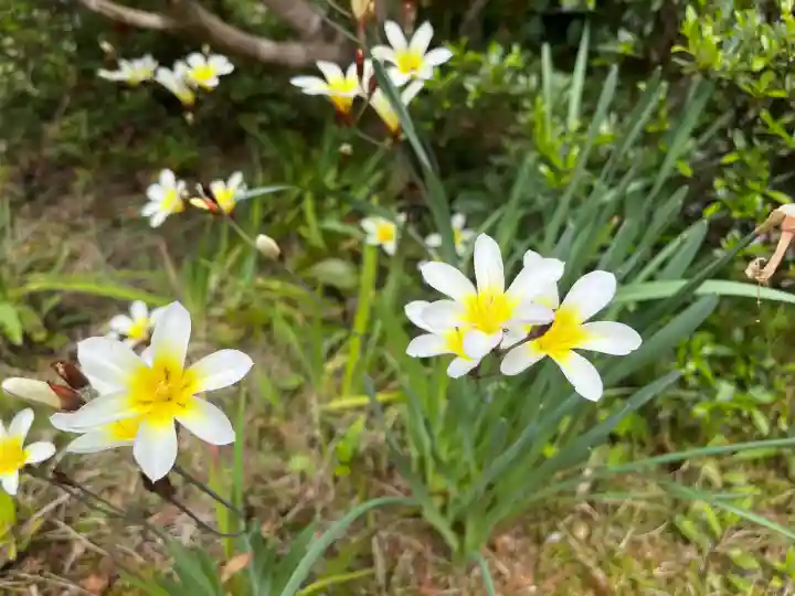 子安地蔵寺の{uncategorized: "未分類", other: "その他", undefined: "問題あり", building: "その他建物", grave: "お墓", sacred_gate: "鳥居", guardian: "狛犬", statue: "像", buddha: "仏像", history: "歴史", nature: "自然", garden: "庭園", animal: "動物", pagoda: "塔", temizu: "手水舎", mountain_gate: "山門・神門", sanctuary: "本殿・本堂", subordinate: "末社・摂社", art: "芸術", scenery: "景色", jizo: "地蔵", ema: "絵馬", goshuin: "御朱印", omikuji: "おみくじ", items: "授与品その他", amulet: "お守り", goshuincho: "御朱印帳", eats: "食事", festival: "お祭り", votive_dance: "神楽", shichigosan: "七五三参", wedding: "結婚式", experience: "体験その他", initially: "初詣", around: "周辺", anti_infection: "感染症対策"}