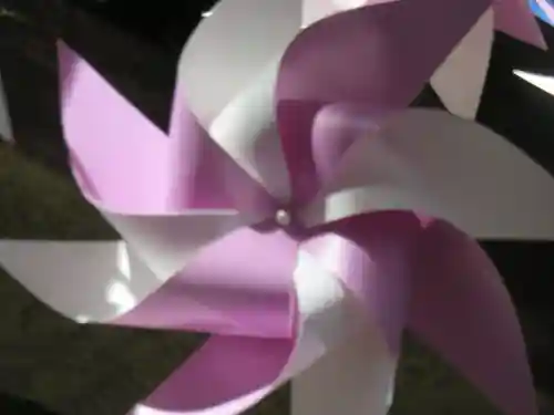 川越氷川神社(埼玉県)