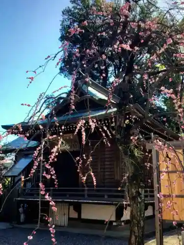 布多天神社(東京都)