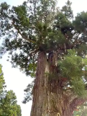 熊野神社(岐阜県)