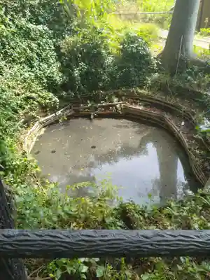 西坂ねこ稲荷神社(福島県)