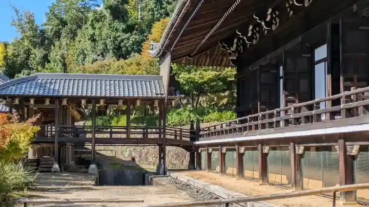 光明寺(粟生光明寺)(京都府)