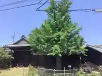 常泉院のその他建物