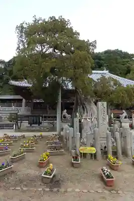 河上神社のその他建物