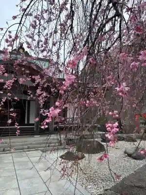 善行寺の{uncategorized: "未分類", other: "その他", undefined: "問題あり", building: "その他建物", grave: "お墓", sacred_gate: "鳥居", guardian: "狛犬", statue: "像", buddha: "仏像", history: "歴史", nature: "自然", garden: "庭園", animal: "動物", pagoda: "塔", temizu: "手水舎", mountain_gate: "山門・神門", sanctuary: "本殿・本堂", subordinate: "末社・摂社", art: "芸術", scenery: "景色", jizo: "地蔵", ema: "絵馬", goshuin: "御朱印", omikuji: "おみくじ", items: "授与品その他", amulet: "お守り", goshuincho: "御朱印帳", eats: "食事", festival: "お祭り", votive_dance: "神楽", shichigosan: "七五三参", wedding: "結婚式", experience: "体験その他", initially: "初詣", around: "周辺", anti_infection: "感染症対策"}