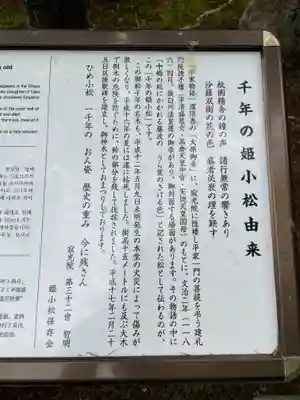 寂光院の歴史