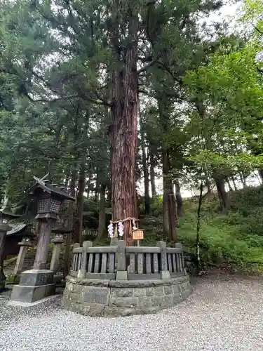 諏訪大社下社春宮(長野県)