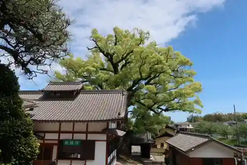 栖光院(愛知県)