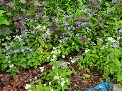 法善寺(埼玉県)