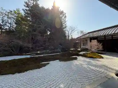 西来院の{uncategorized: "未分類", other: "その他", undefined: "問題あり", building: "その他建物", grave: "お墓", sacred_gate: "鳥居", guardian: "狛犬", statue: "像", buddha: "仏像", history: "歴史", nature: "自然", garden: "庭園", animal: "動物", pagoda: "塔", temizu: "手水舎", mountain_gate: "山門・神門", sanctuary: "本殿・本堂", subordinate: "末社・摂社", art: "芸術", scenery: "景色", jizo: "地蔵", ema: "絵馬", goshuin: "御朱印", omikuji: "おみくじ", items: "授与品その他", amulet: "お守り", goshuincho: "御朱印帳", eats: "食事", festival: "お祭り", votive_dance: "神楽", shichigosan: "七五三参", wedding: "結婚式", experience: "体験その他", initially: "初詣", around: "周辺", anti_infection: "感染症対策"}