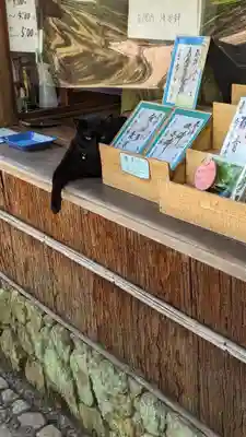 常寂光寺(京都府)