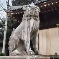 白山社(成岩白山神社)の狛犬