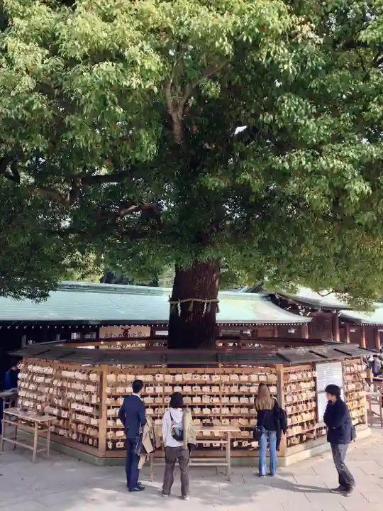 明治神宮(東京都)