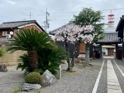 行住院(京都府)