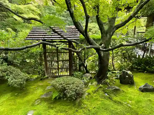 桂春院(京都府)