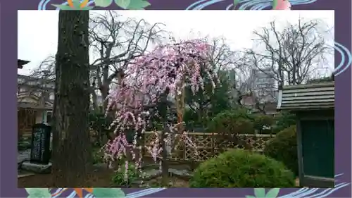 芳林寺(埼玉県)