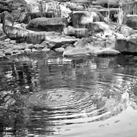 諫早神社(九州総守護 四面宮)(長崎県)