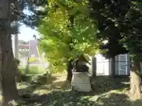 織姫神社(埼玉県)