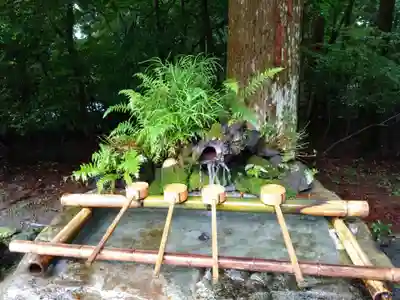 霧島神宮(鹿児島県)