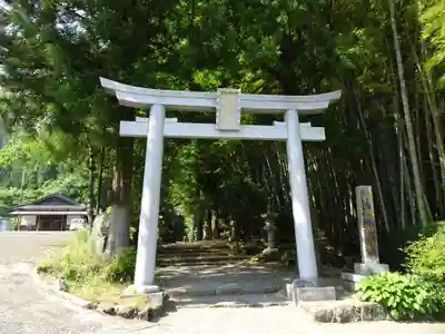 国造神社の鳥居