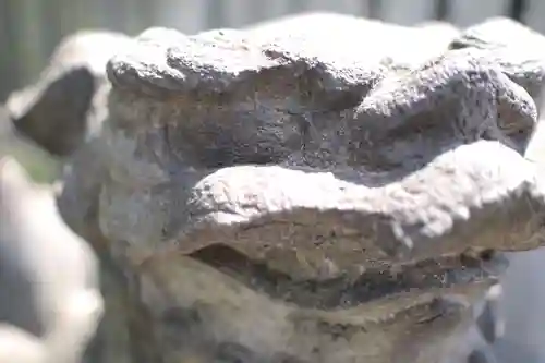 白金氷川神社の狛犬