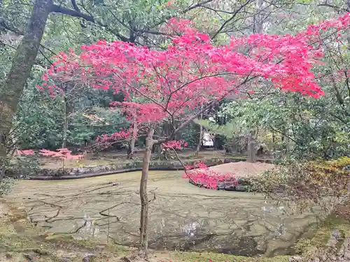 唐招提寺(奈良県)