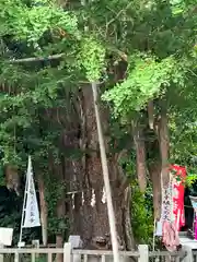 海南神社の自然