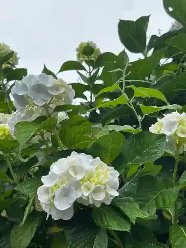 粟井神社(香川県)