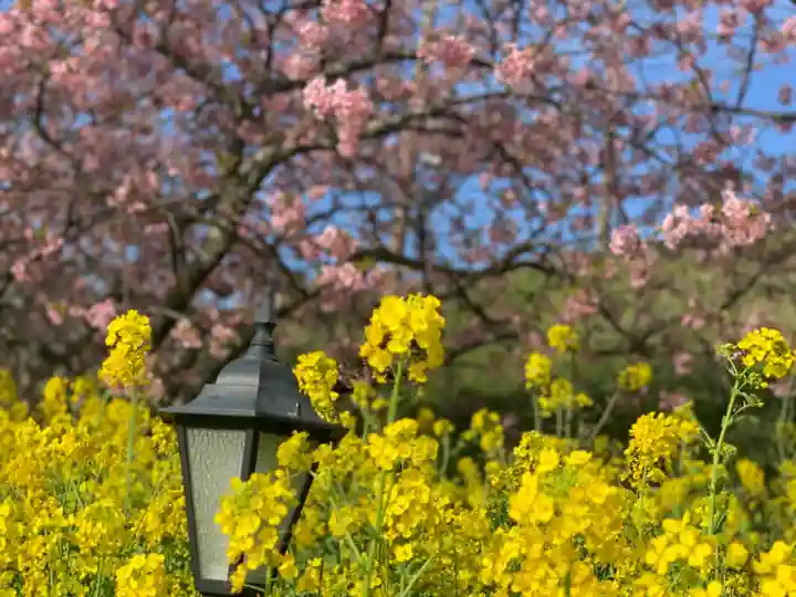 かっぱの寺 栖足寺の自然