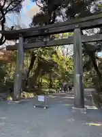 明治神宮(東京都)