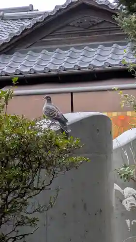 尊陽院(京都府)