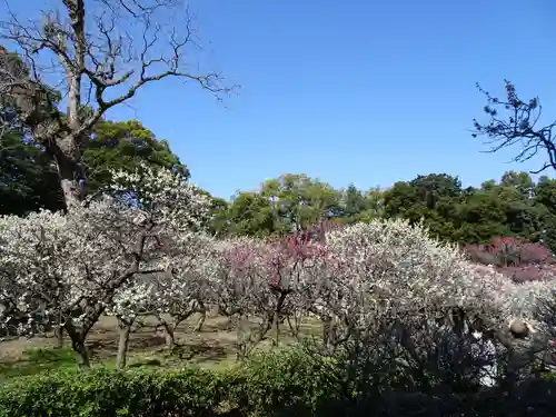 道明寺天満宮の自然