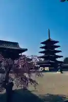 法隆寺の{uncategorized: "未分類", other: "その他", undefined: "問題あり", building: "その他建物", grave: "お墓", sacred_gate: "鳥居", guardian: "狛犬", statue: "像", buddha: "仏像", history: "歴史", nature: "自然", garden: "庭園", animal: "動物", pagoda: "塔", temizu: "手水舎", mountain_gate: "山門・神門", sanctuary: "本殿・本堂", subordinate: "末社・摂社", art: "芸術", scenery: "景色", jizo: "地蔵", ema: "絵馬", goshuin: "御朱印", omikuji: "おみくじ", items: "授与品その他", amulet: "お守り", goshuincho: "御朱印帳", eats: "食事", festival: "お祭り", votive_dance: "神楽", shichigosan: "七五三参", wedding: "結婚式", experience: "体験その他", initially: "初詣", around: "周辺", anti_infection: "感染症対策"}