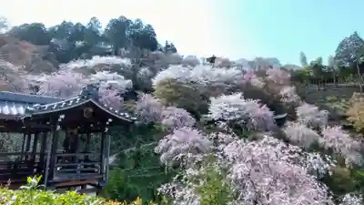 善峯寺(京都府)