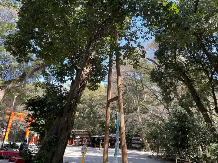 賀茂御祖神社(下鴨神社)の自然