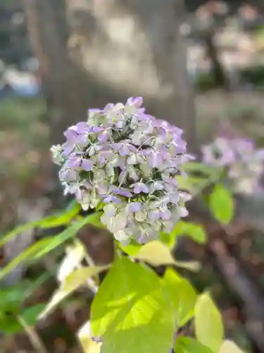善知鳥神社の自然