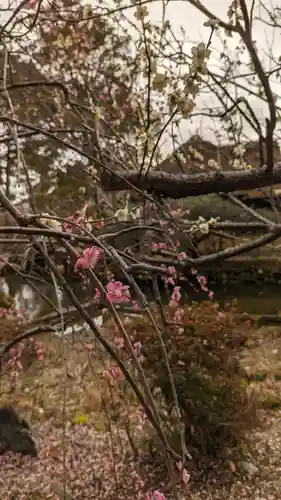 梅宮大社(京都府)