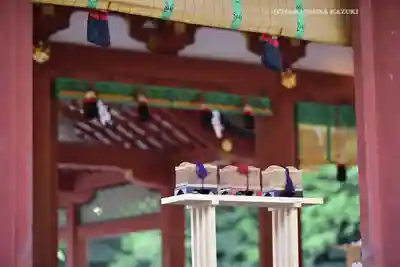 鶴岡八幡宮(神奈川県)