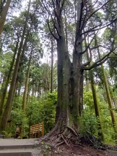 山神社(鹿児島県)