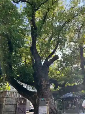 難波神社(大阪府)