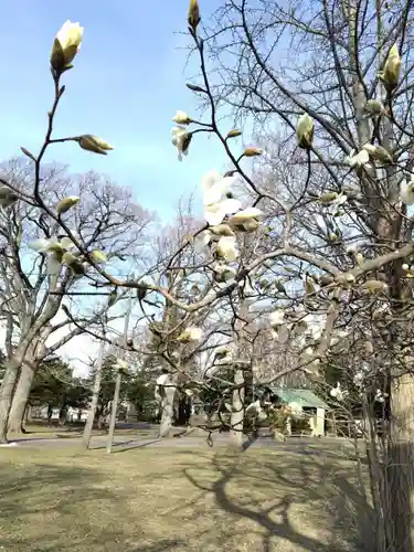 厚別神社(北海道)