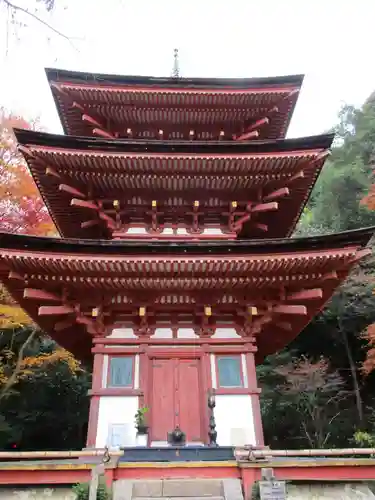 浄瑠璃寺(京都府)