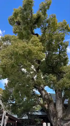 石切劔箭神社(大阪府)