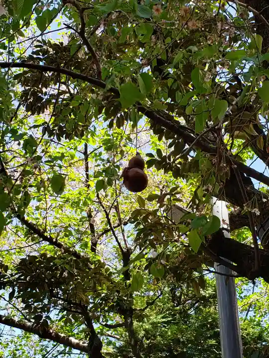 秋葉神社(東京都)
