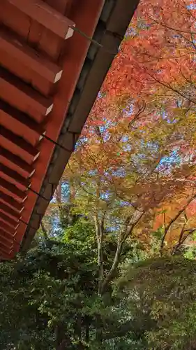 常照寺(京都府)