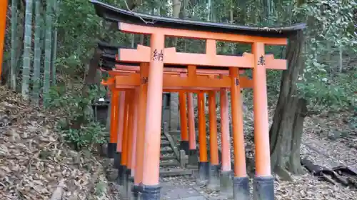 伏見稲荷大社の鳥居